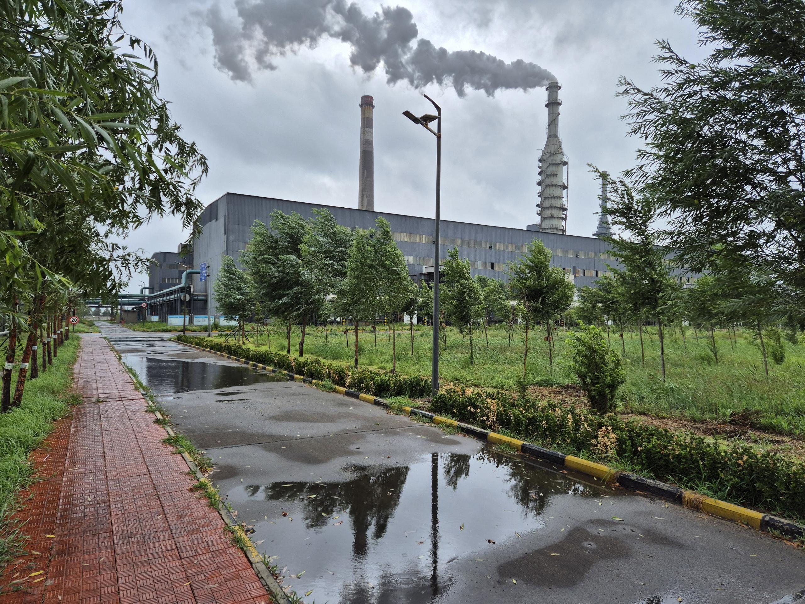 Sinoway carbon, A New Landscape of Factory Greening