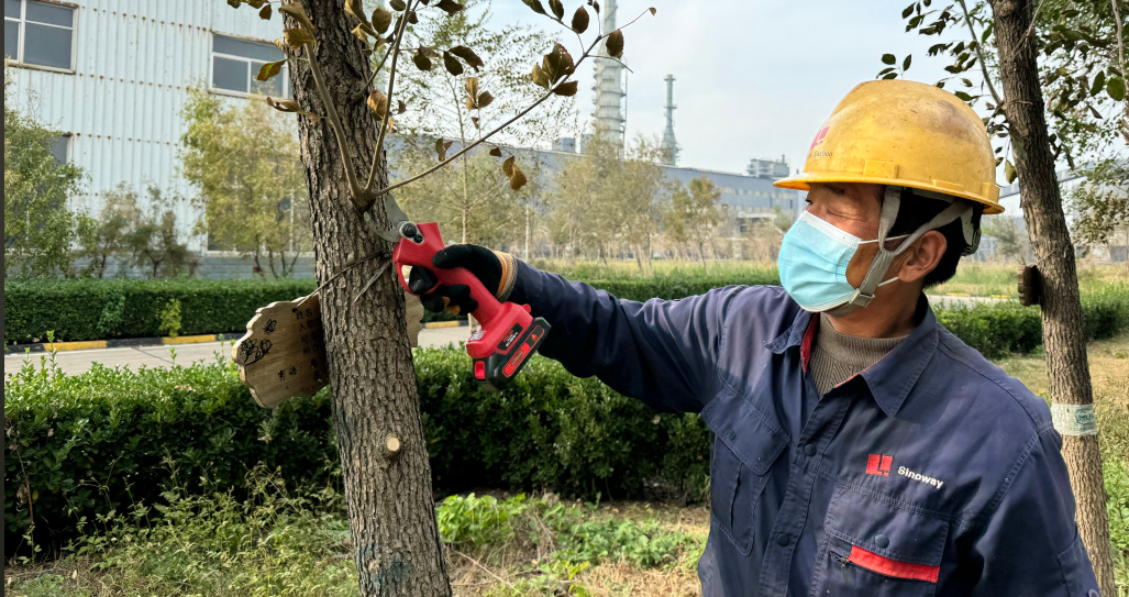 Sinoway Carbon: Busy with pruning and maintenance in autumn, the green factory shines with a new look